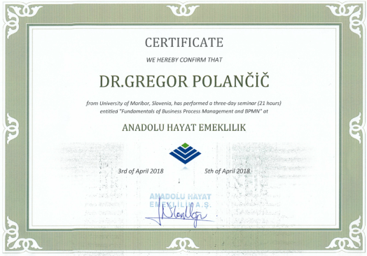 Istanbul_certificate